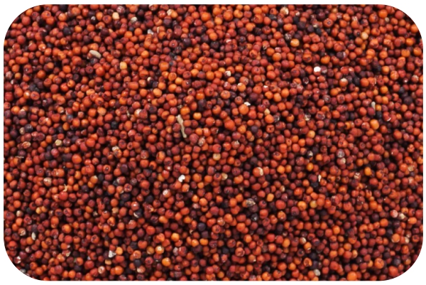 Finger Millets